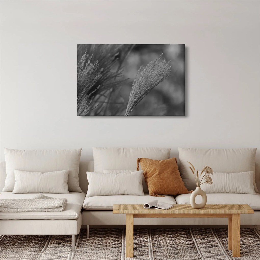 Tablou - Iarbă de pampas uscată (90x60 cm)