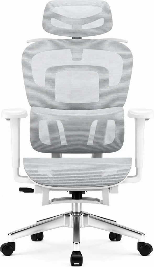 SIENA E15 Executive – Scaun Ergonomic cu Suport Lombar Reglabil pe Înălțime, Tetieră Reglabilă, Cotiere 3D, Șezut Extensibil, Reclinare 135°, Umeraș Integrat, Suport pentru Picioare și Bază Metalică, Mesh, Gri