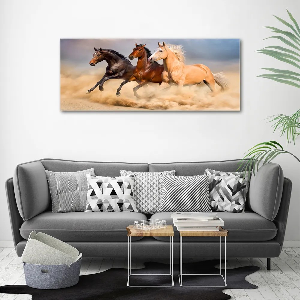 Tablou canvas Galopantă cai