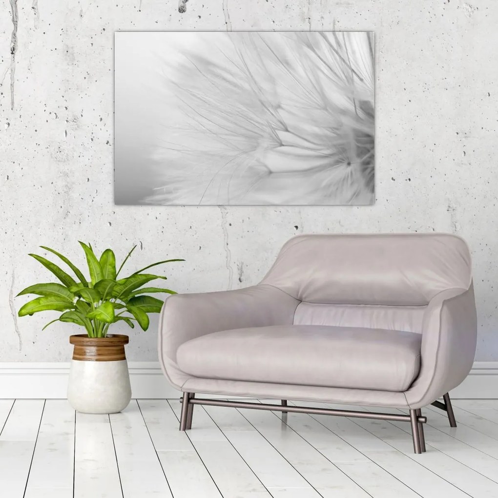 Tablou - Dandelion (90x60 cm)