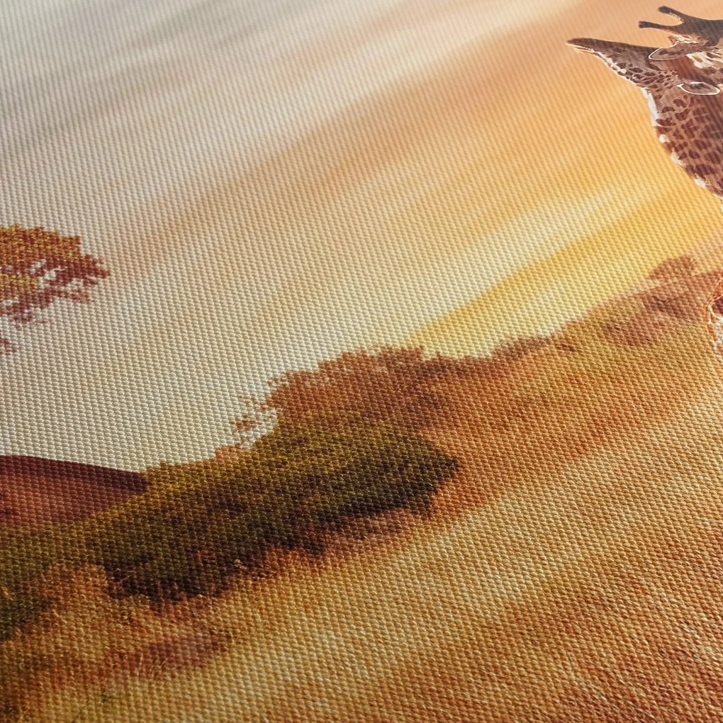 Tablou Girafe în Africa (120x50 cm)
