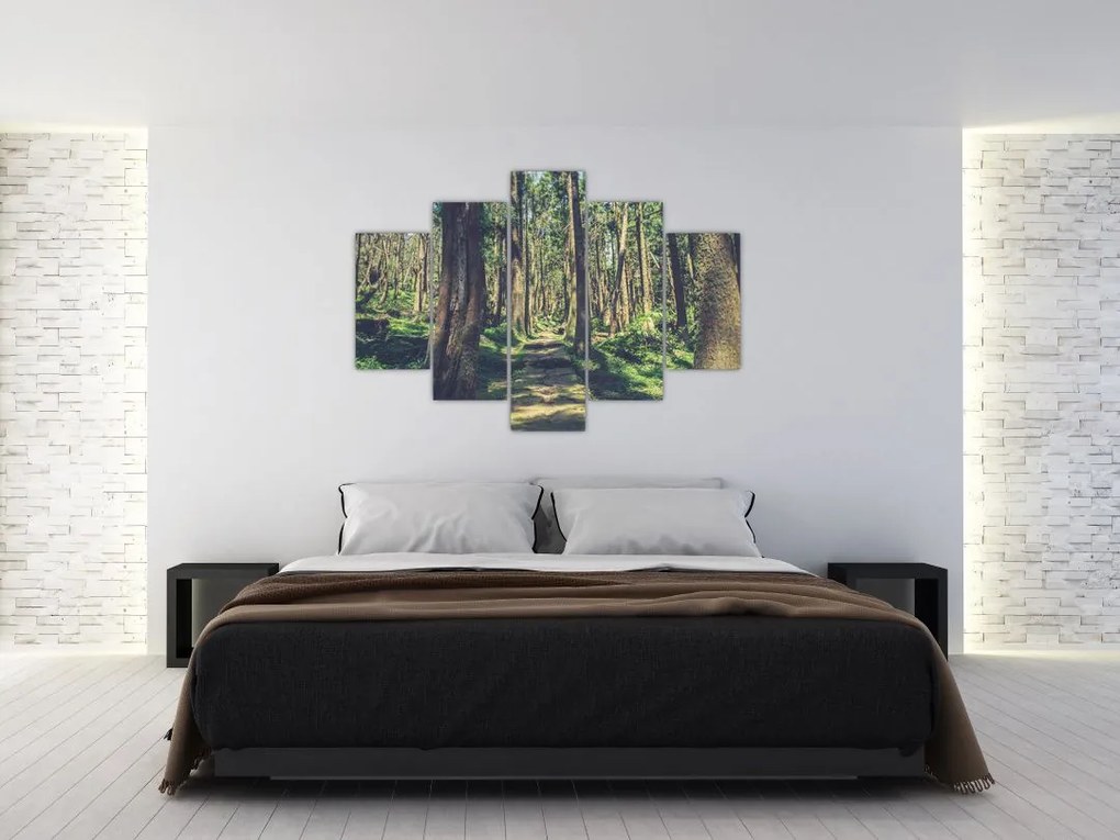Tablou cu drum între copaci (150x105 cm)