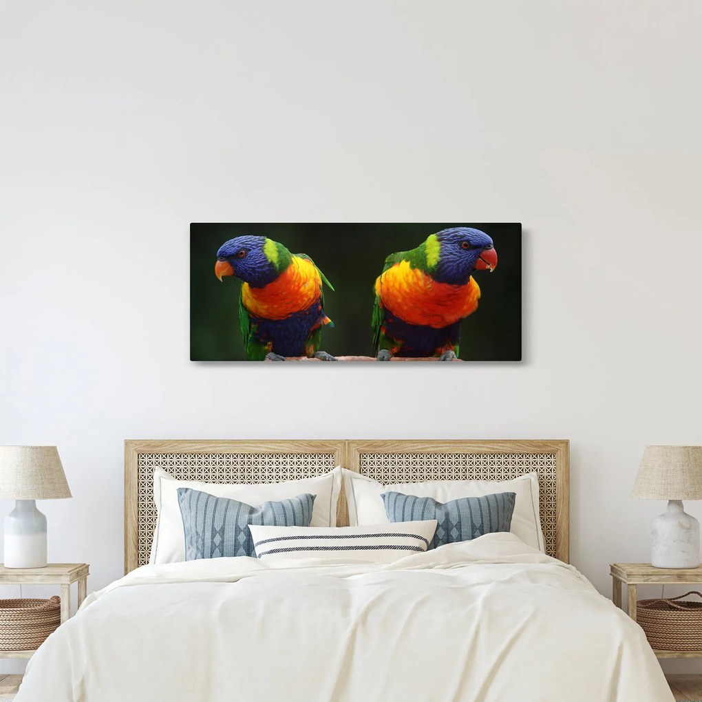 Tablou cu papagali (120x50 cm)