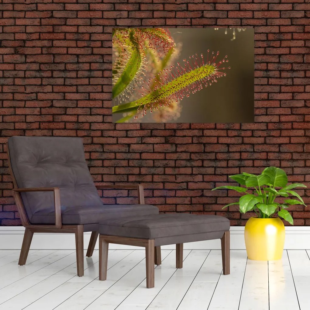 Tablou cu plantă (90x60 cm)