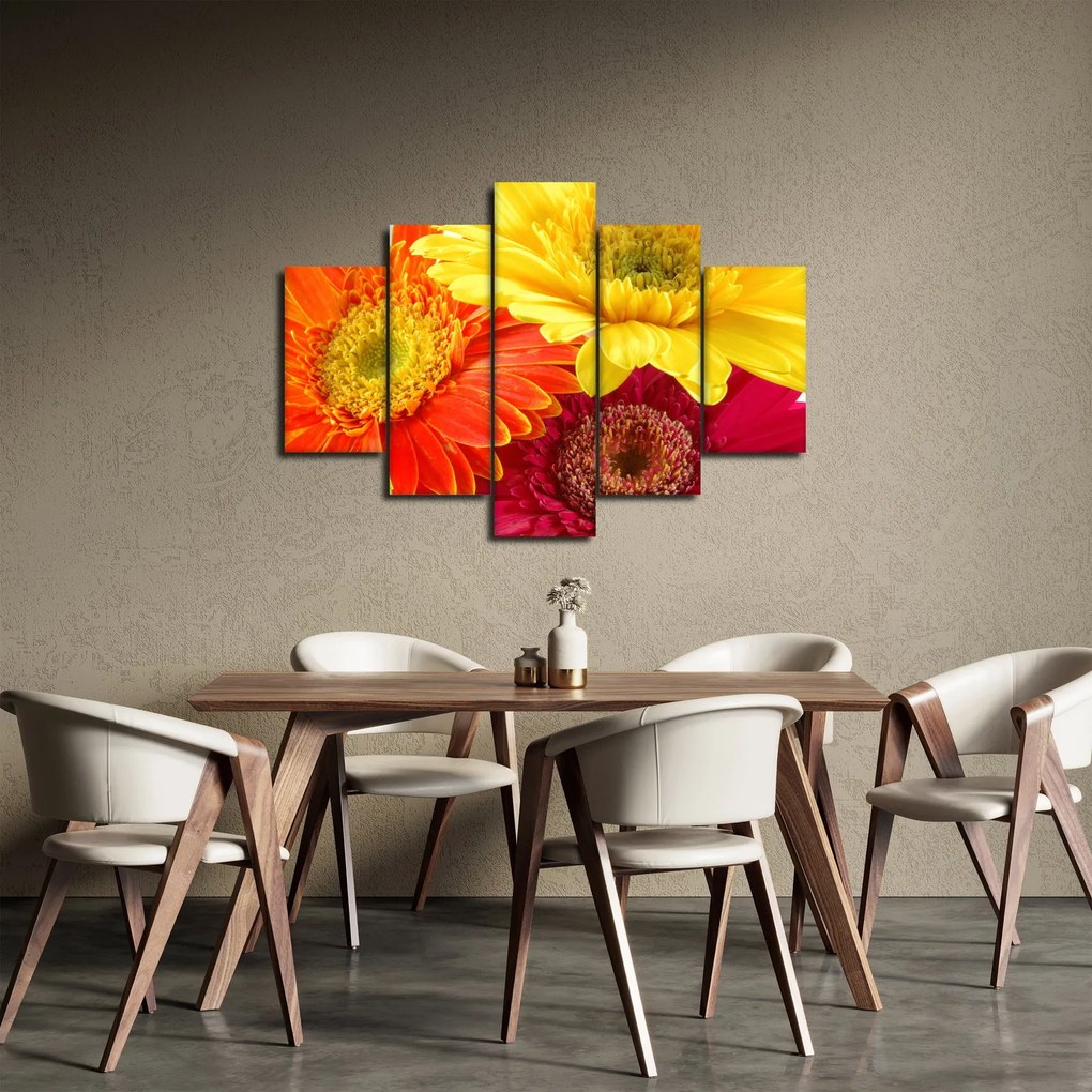 Tablou - Flori Gerbery (150x105 cm)