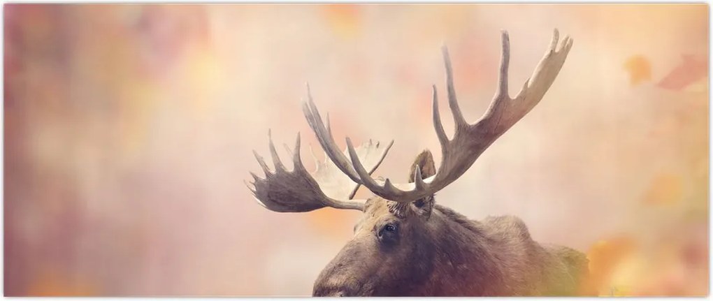 Tablou - Pădure în frunze de toamnă (120x50 cm)