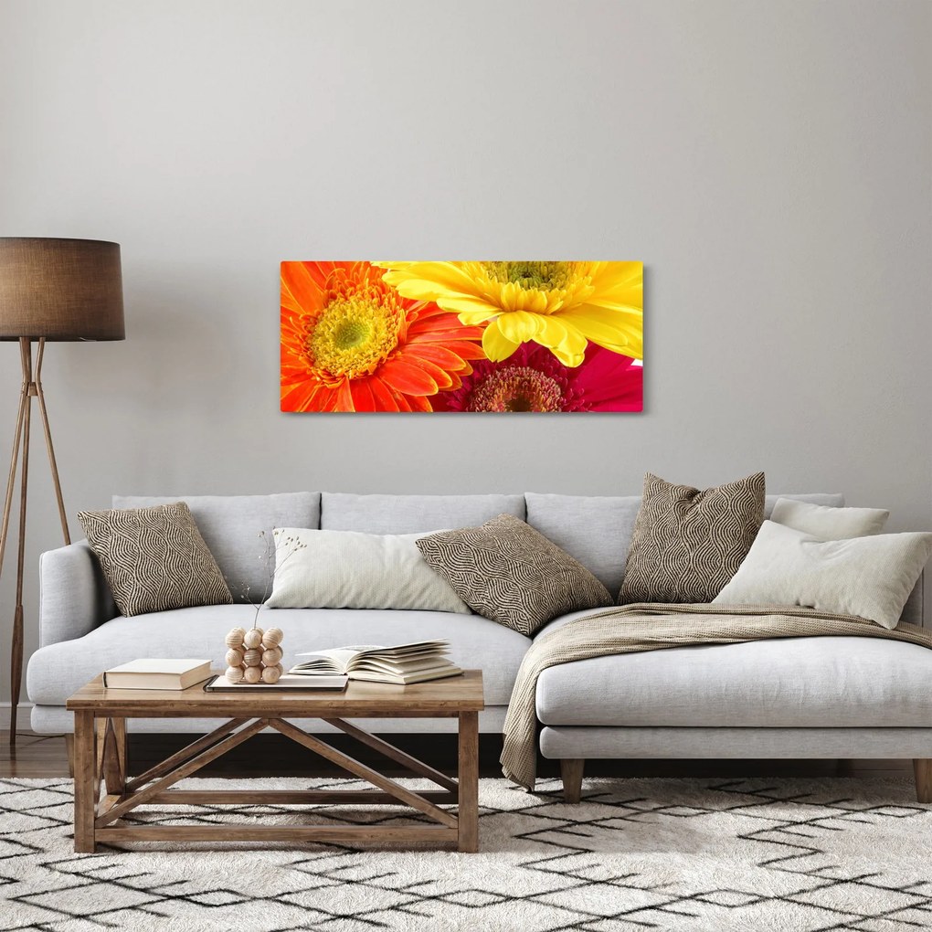 Tablou - Flori Gerbery (120x50 cm)