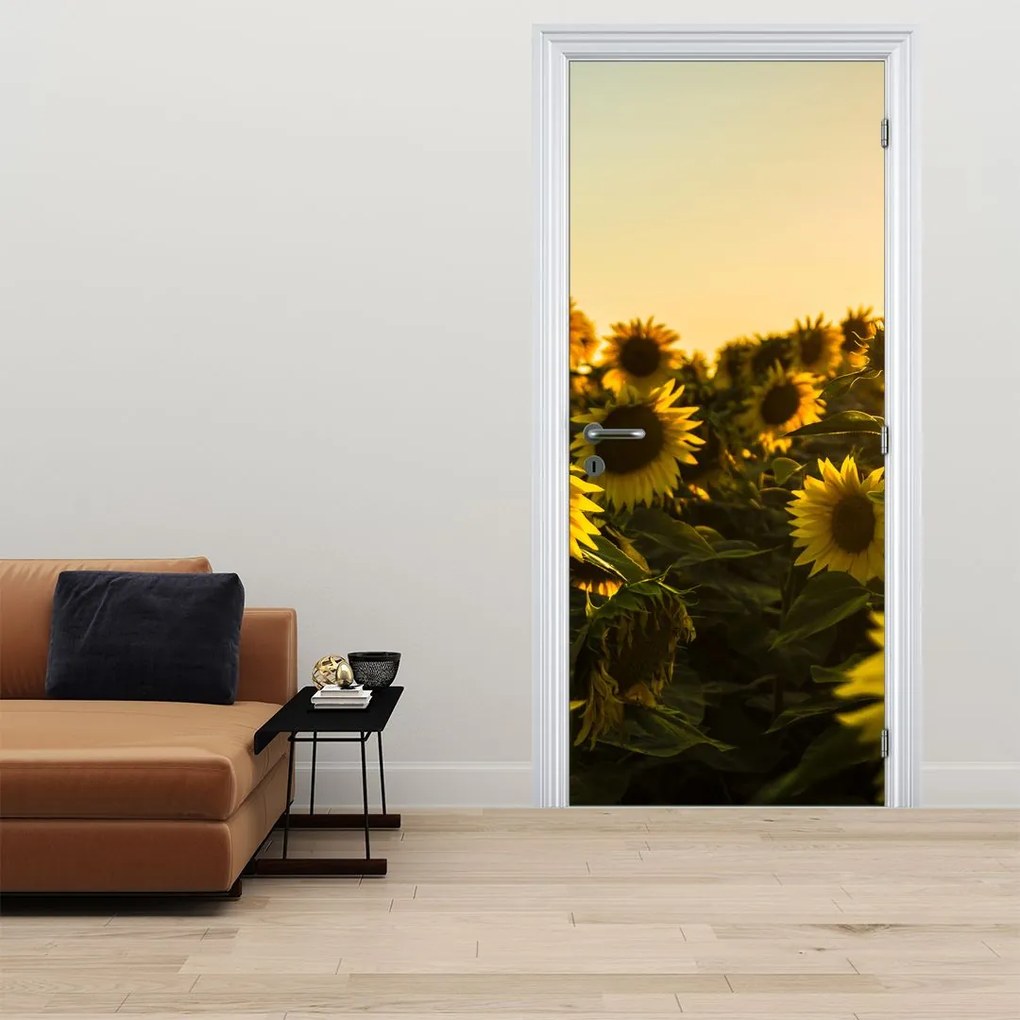 Fototapet pentru ușă - Câmpul cu floarea soarelui (95x205cm)