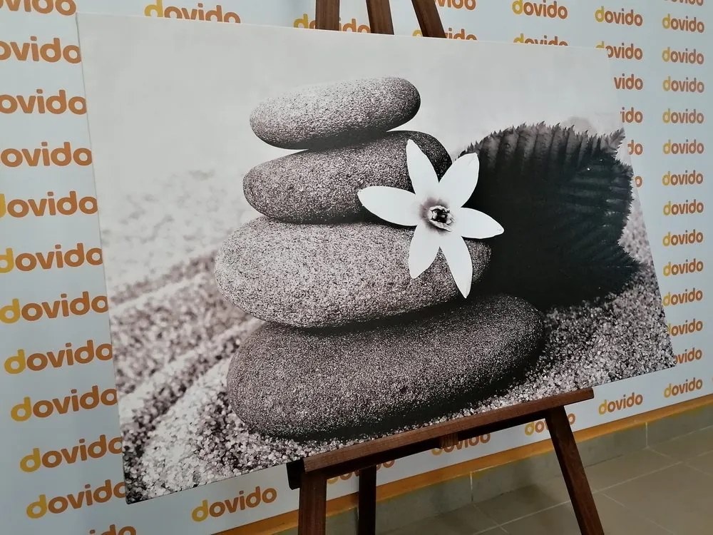 Tablou floare și pietre în nisip în design alb-negru