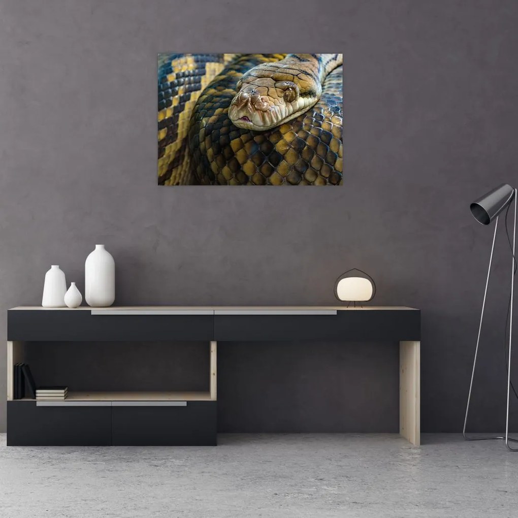 Tablou pe sticlă - Piton (70x50 cm)