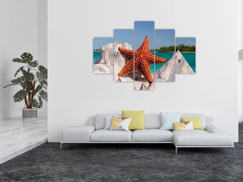 Tablou cu stea de mare (150x105 cm)