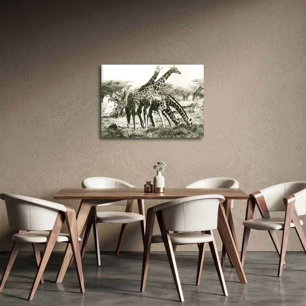 Tablou - Girafe, de epocă (70x50 cm)