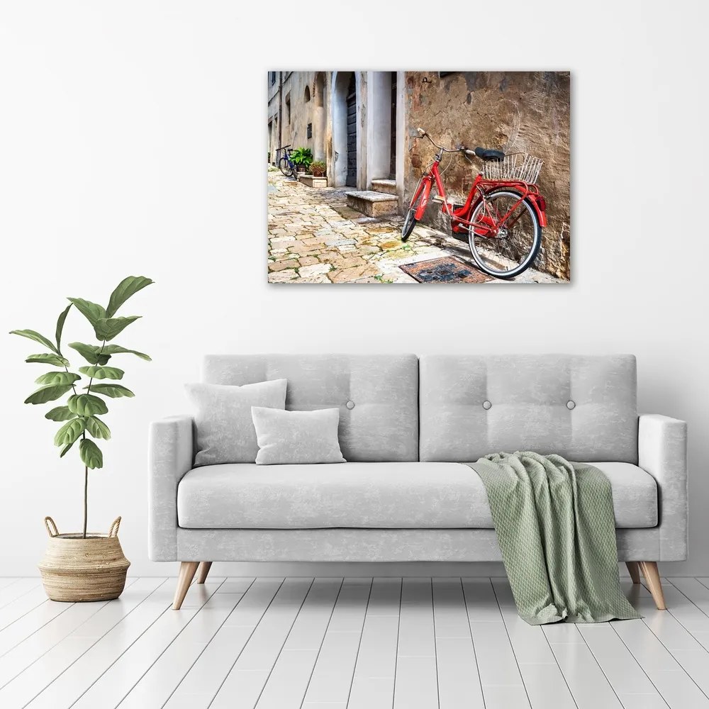 Tablou pe pânză Bicicletă roșie