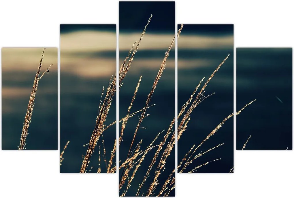 Tablou cu ierburi (150x105 cm)