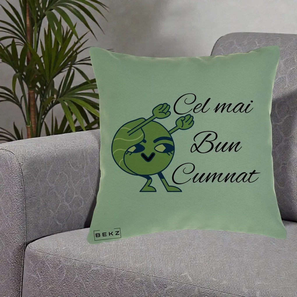 Cadou pentru Cumnat - Perna Personalizata Cel mai Bun Cumnat cu Personaj Funny Verde, 40x40 cm, Verde, Husa Detasabila, Perna Inclusa, BEKZ®