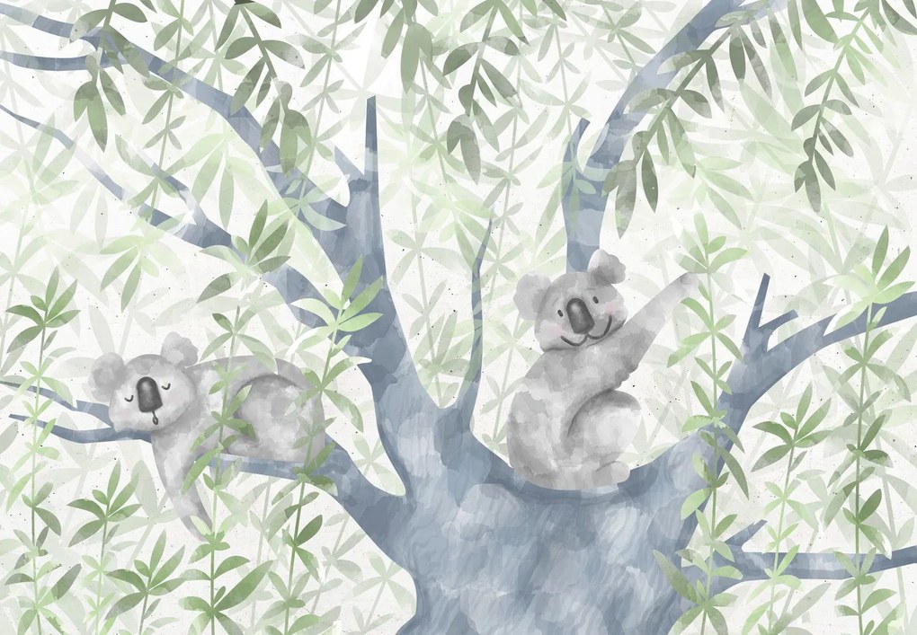 Fototapet - Koala (147x102 cm)