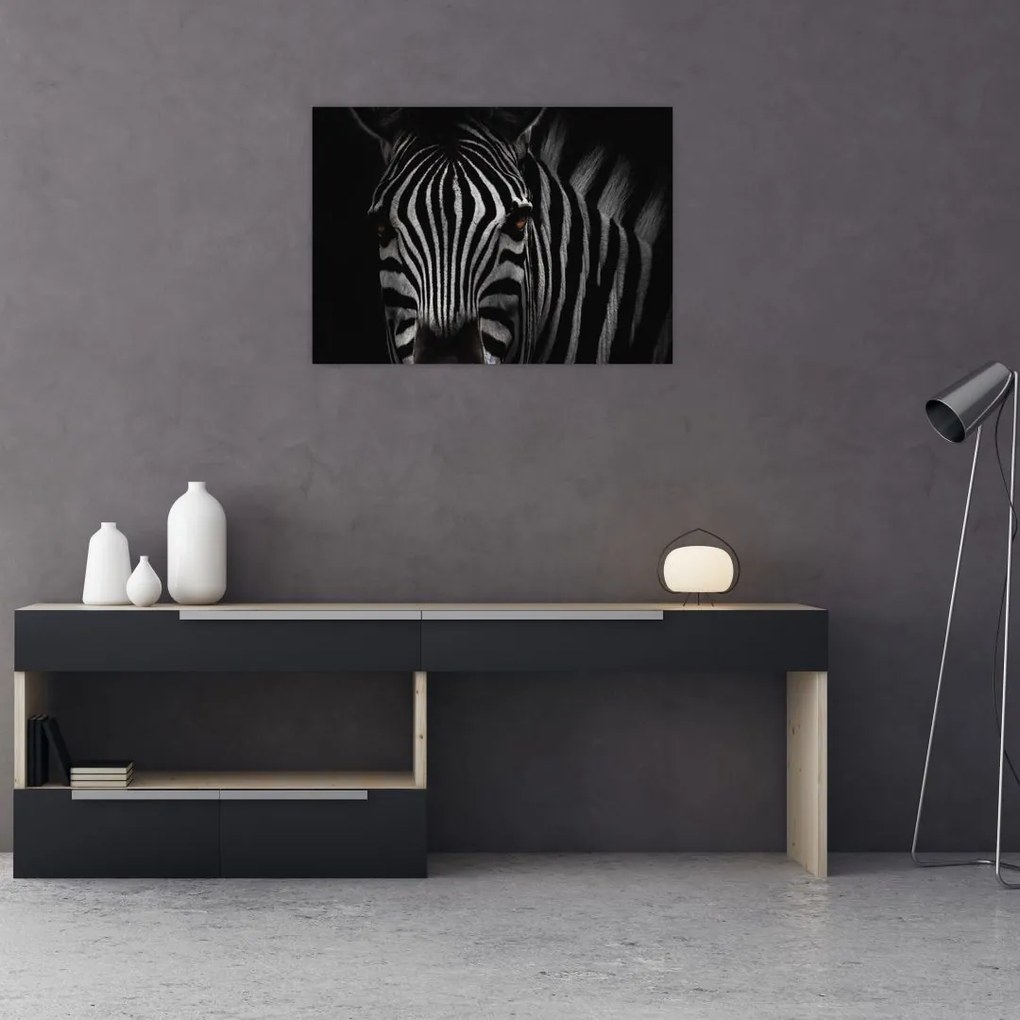 Tablou cu zebră (70x50 cm)