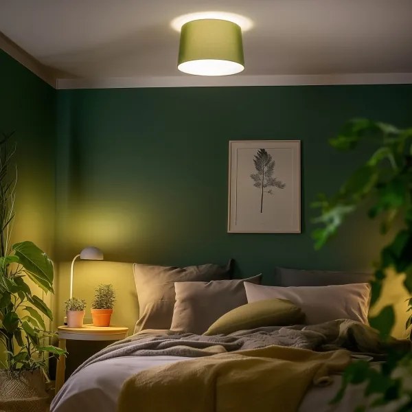 Brilagi - Plafonieră LED aplicată CERIA 1xE27/40W/230V Ø45 cm verde