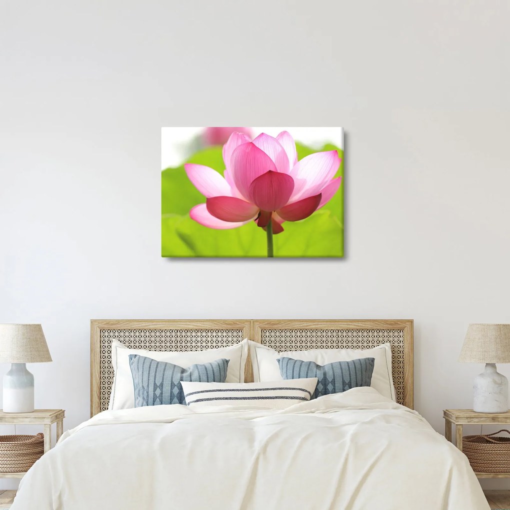 Tablou cu flori de lotus (70x50 cm)