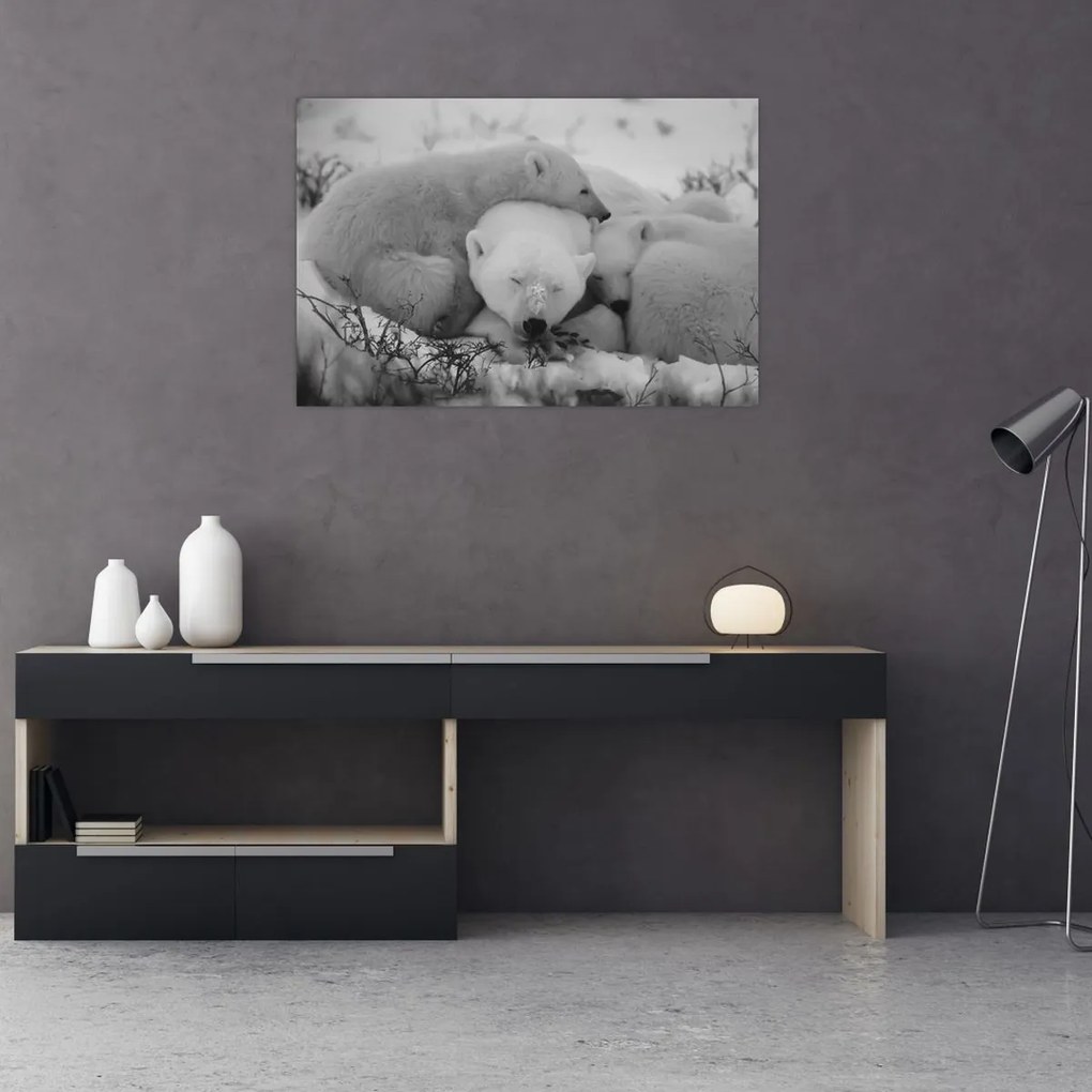 Tablou - Urși polari, alb-negru (90x60 cm)