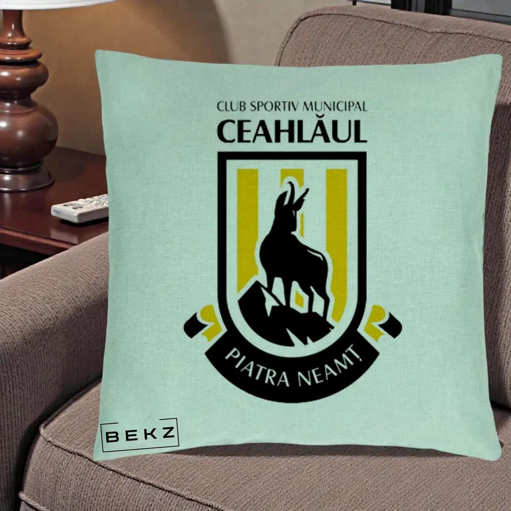 Perna Personalizata CSM Ceahlaul Piatra Neamt Fotbal, 40x40 cm, Verde Menta, Husa Detasabila, Perna Inclusa, BEKZ®