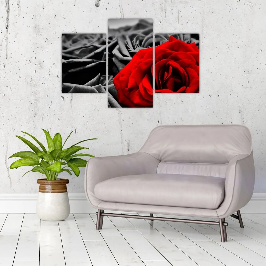 Tablou - Flori de trandafir (90x60 cm)