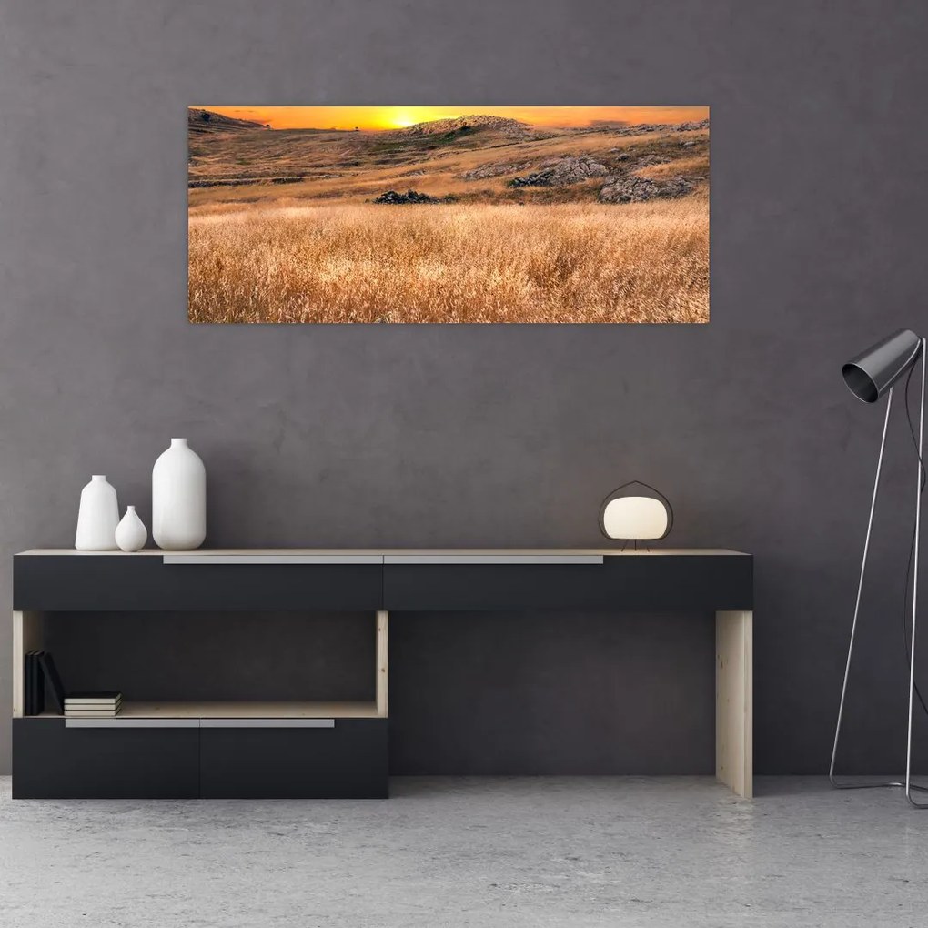 Tablou cu câmp (120x50 cm)