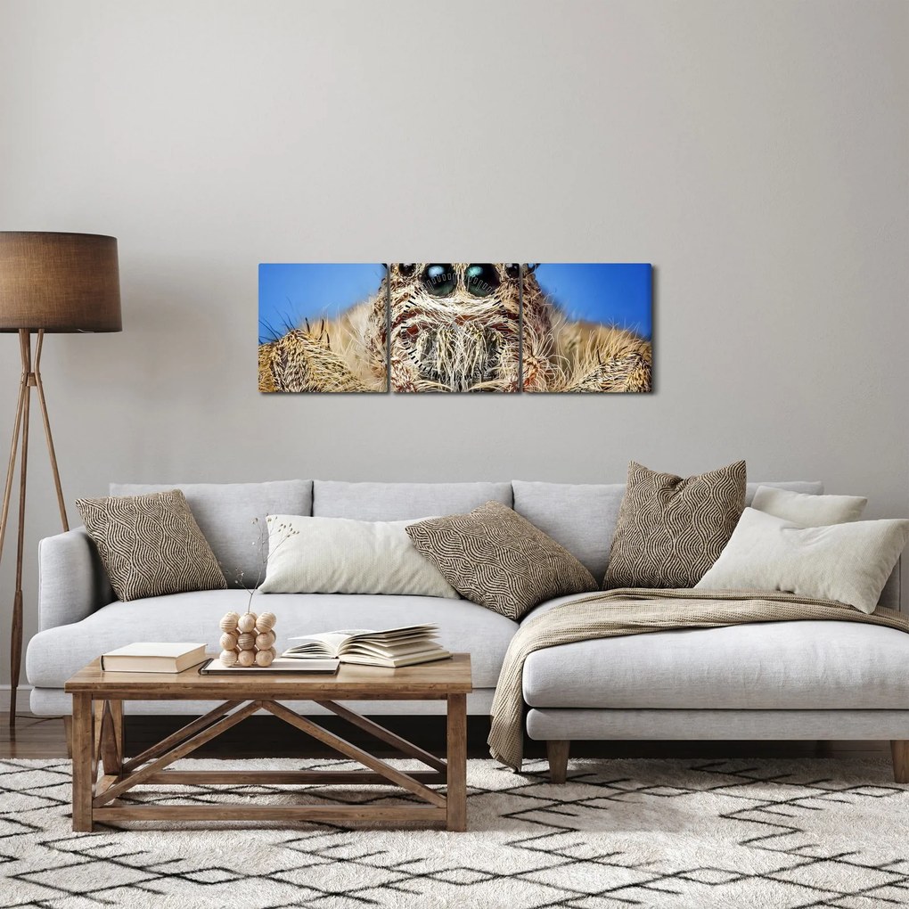 Tablou cu detalii a unui pâianjen (cu ceas) (90x30 cm)