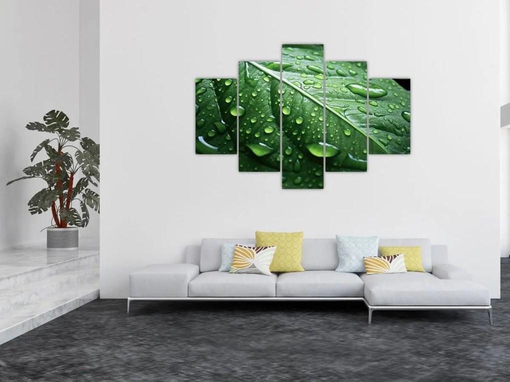 Tablou - Detaliu de frunze după ploaie (150x105 cm)