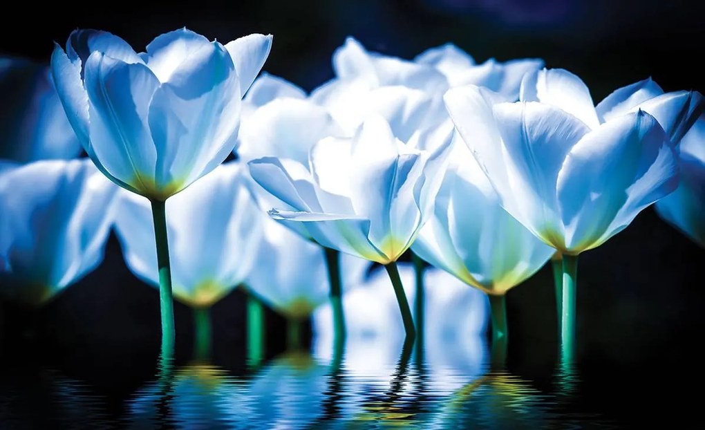 Fototapet - Flori - tonul albastru (152,5x104 cm)