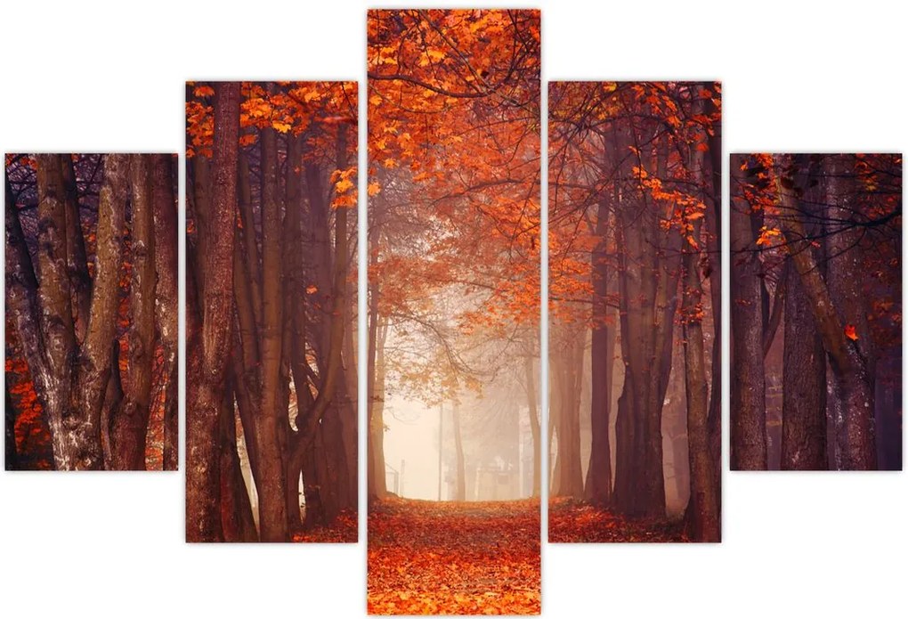 Tablou - Pădurea de toamnă (150x105 cm)