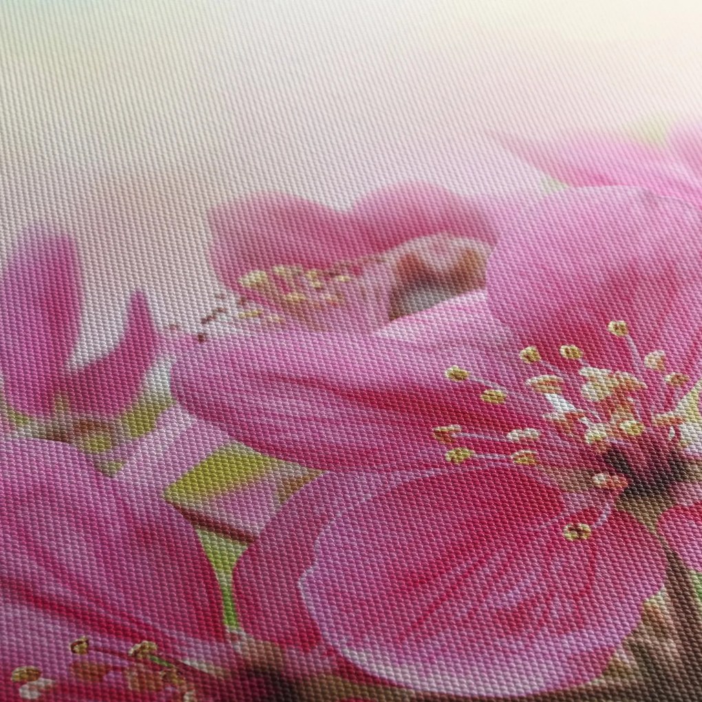 Tablou - Flori roz (90x60 cm)