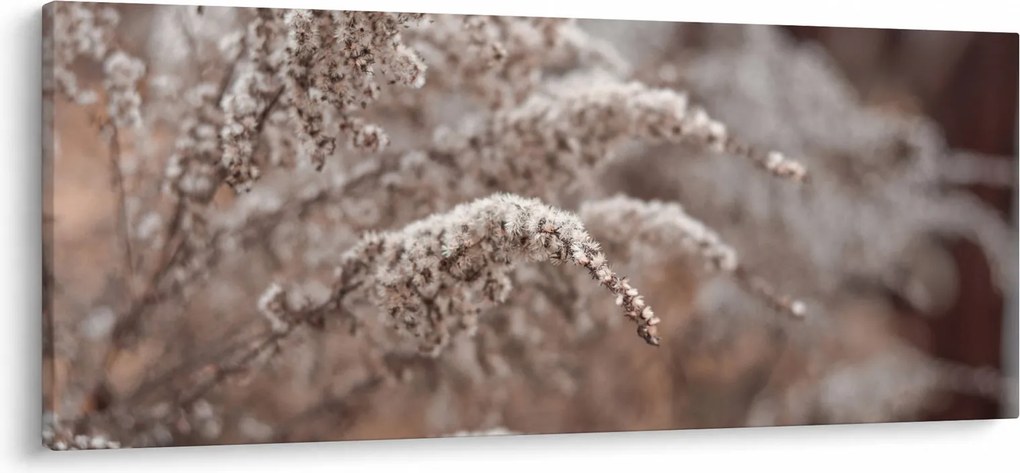 Tablou cu plante (120x50 cm)