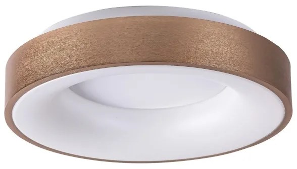 Rabalux 5052 - Plafonieră LED CARMELA LED/30W/230V