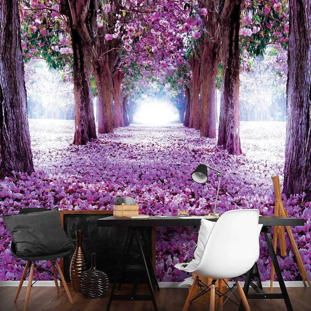 Fototapet - Alee (152,5x104 cm)
