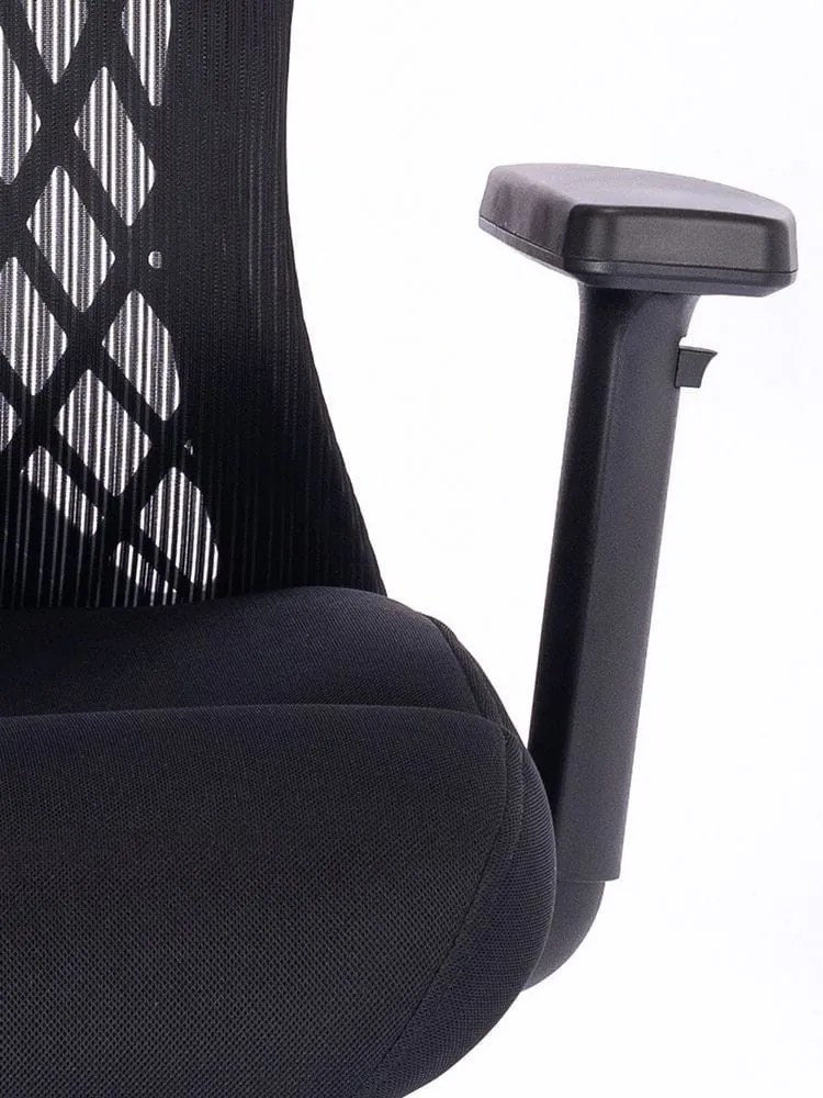 Scaun rotativ ergonomic de birou Ergomax, negru