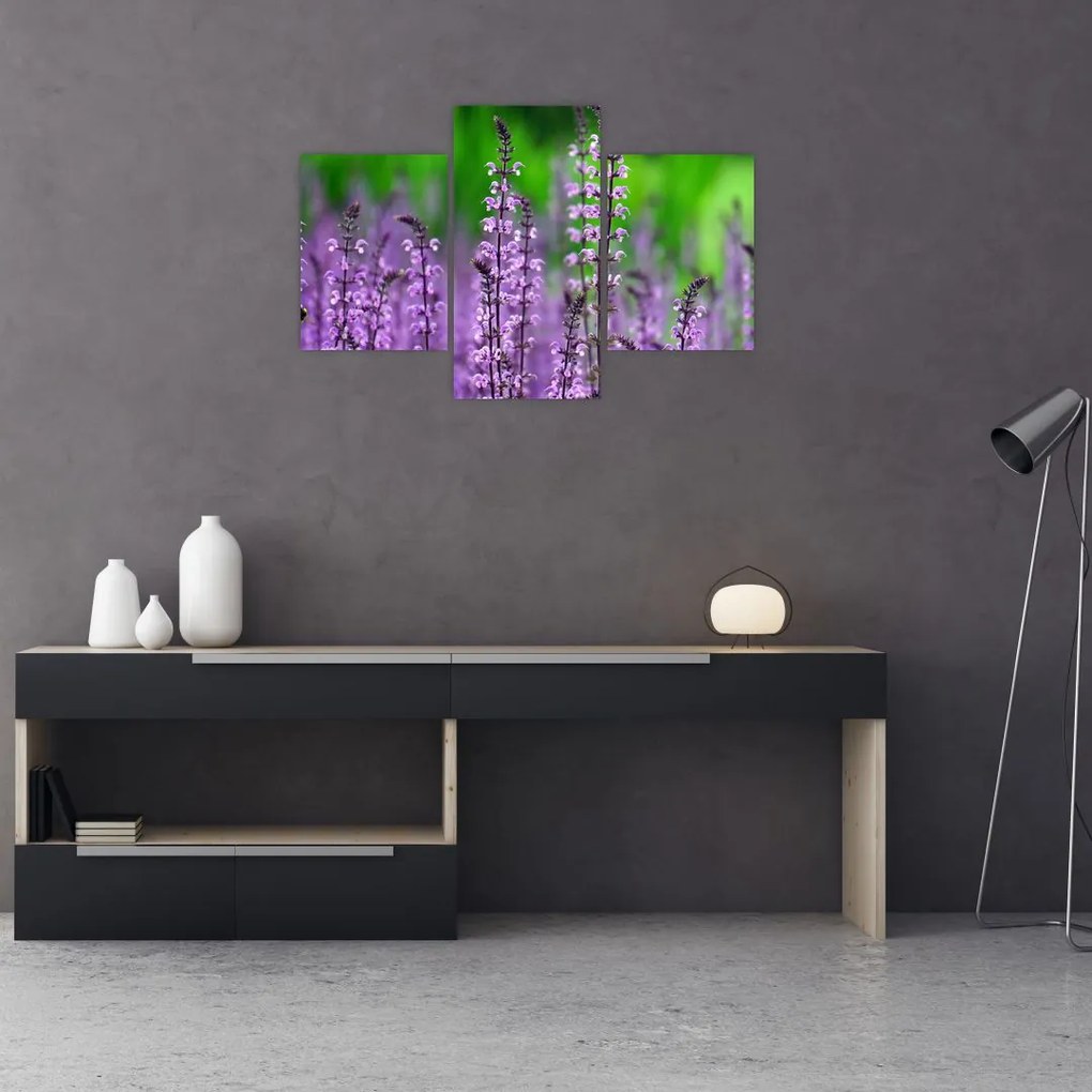 Tablou cu flori de luncă violete (90x60 cm)