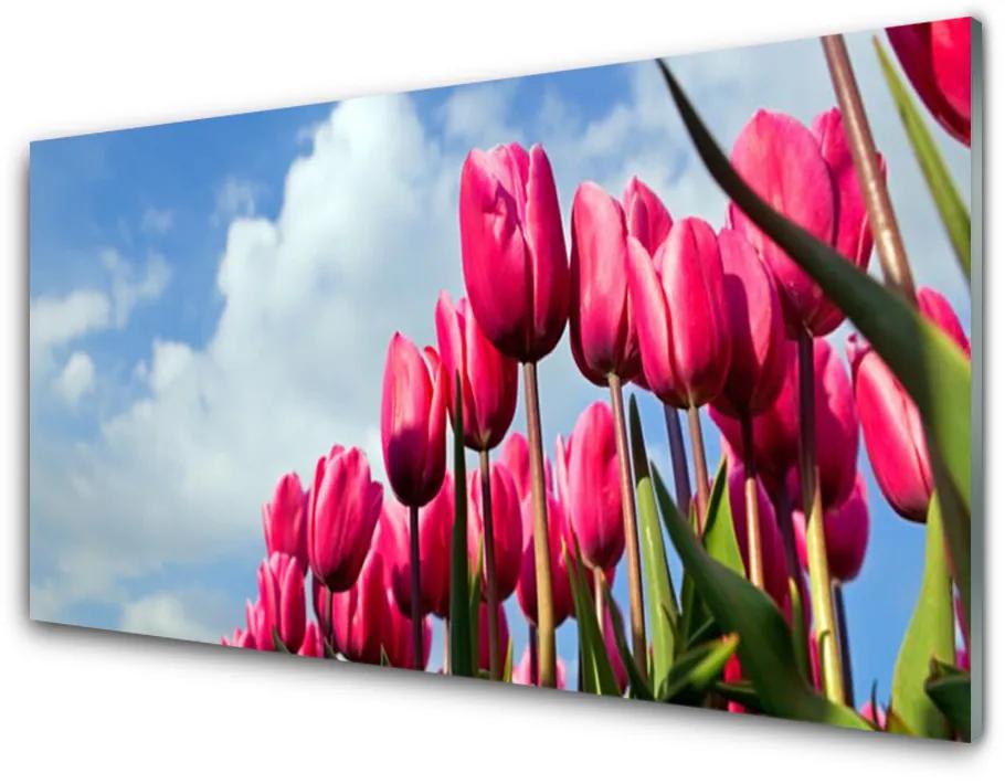 Tablouri acrilice Tulip Floral Roz Verde