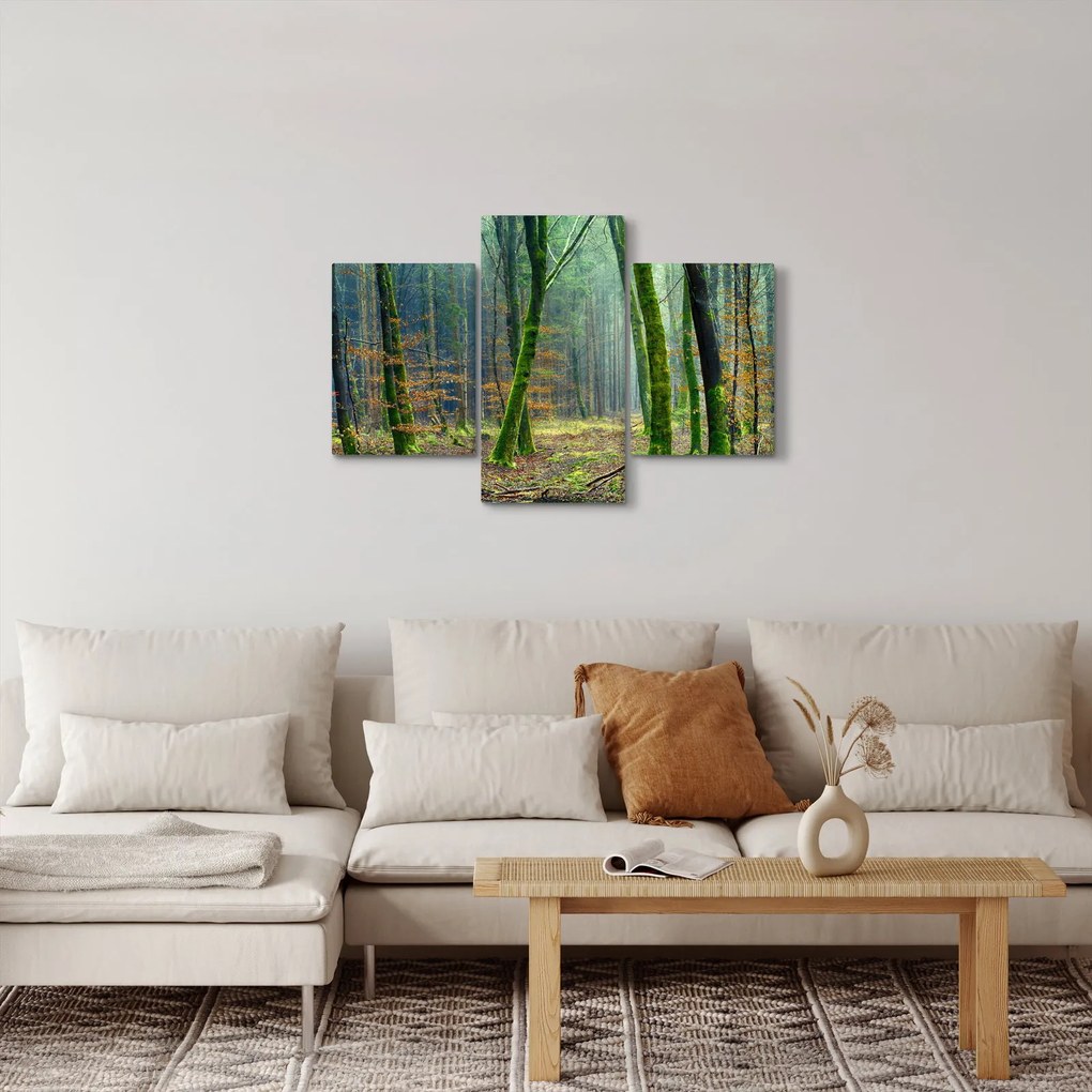 Tablou cu pădure (90x60 cm)