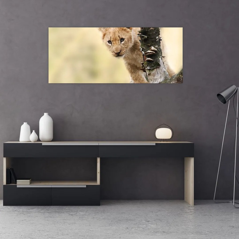 Tablou cu pui de leu (120x50 cm)