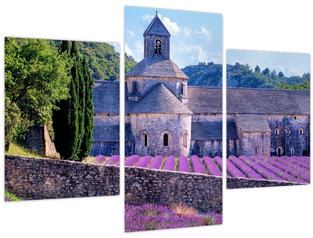 Tablou - Câmp de lavandă (90x60 cm)