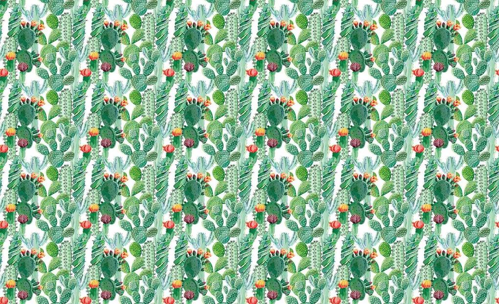 Fototapet - cactus (254x184 cm), în 8 de alte dimensiuni noi