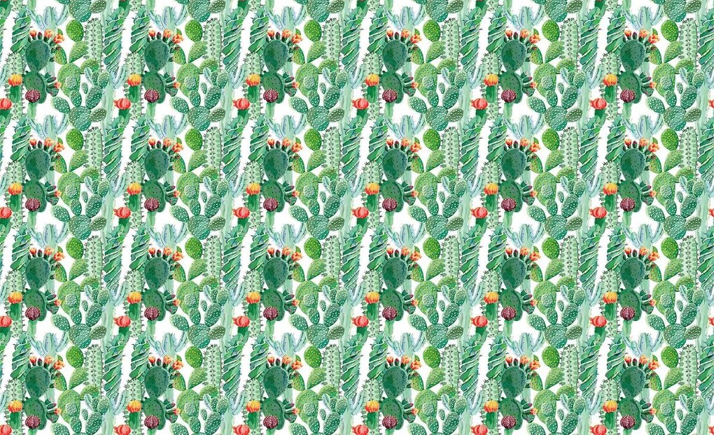 Fototapet - cactus (254x184 cm)