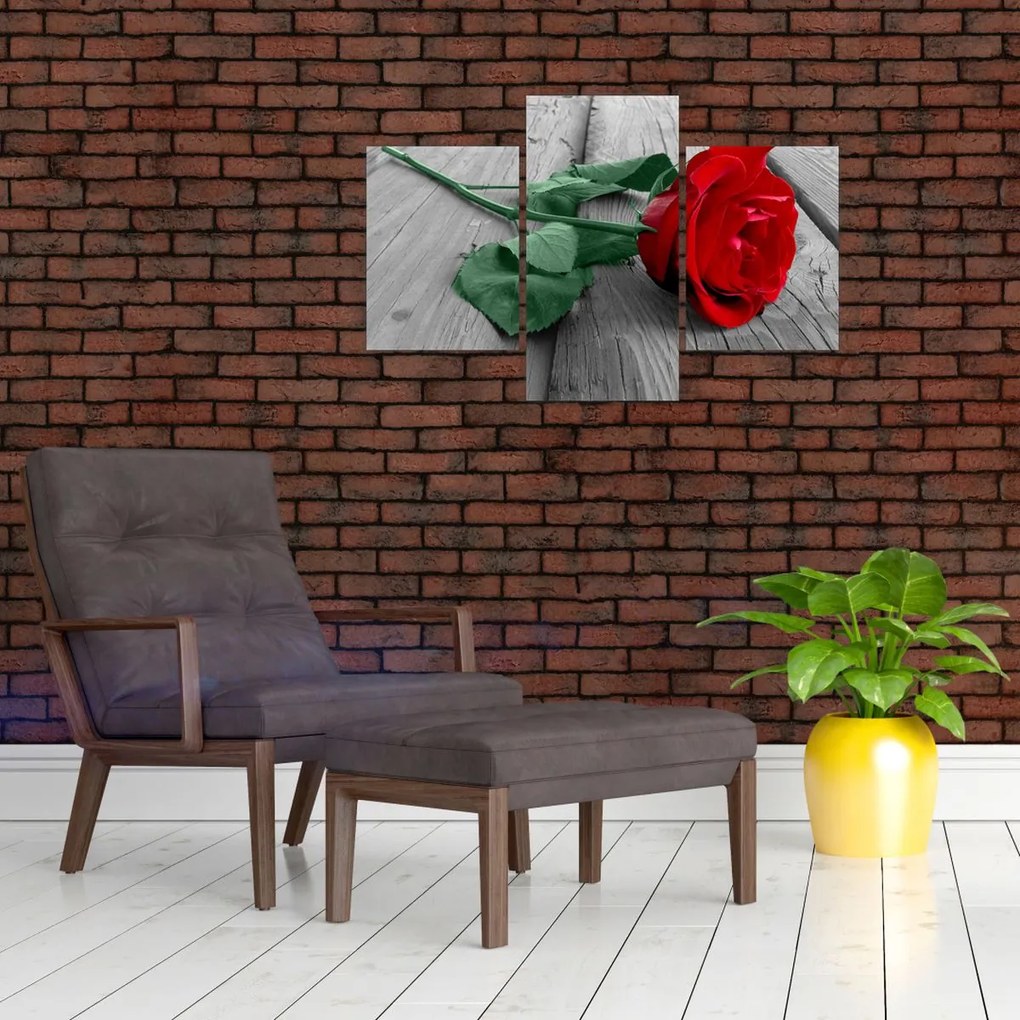 Tablou - Trandafir roșu cu tulpină verde (90x60 cm)