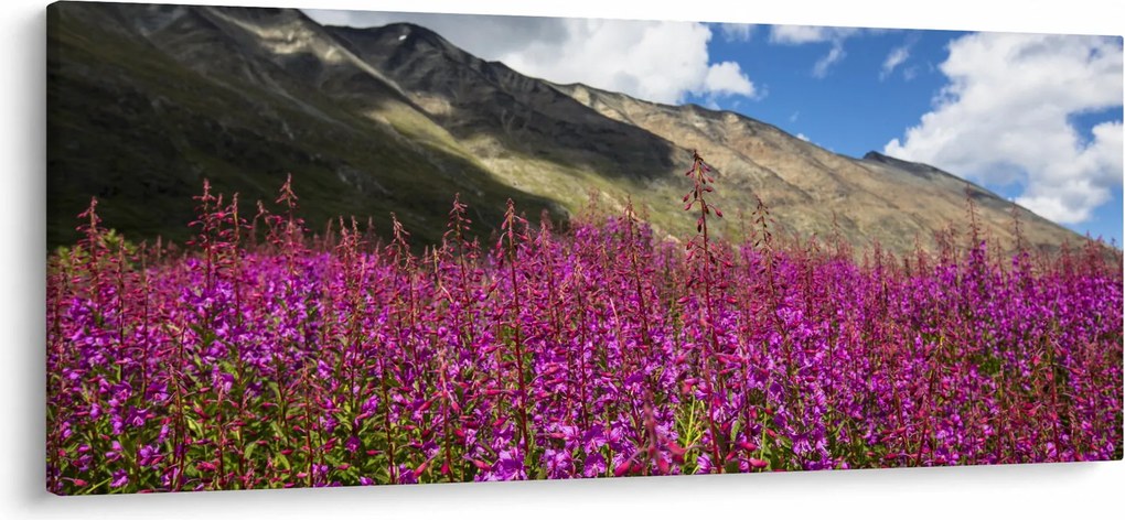 Tablou sceneriei cu lunca montană (120x50 cm)