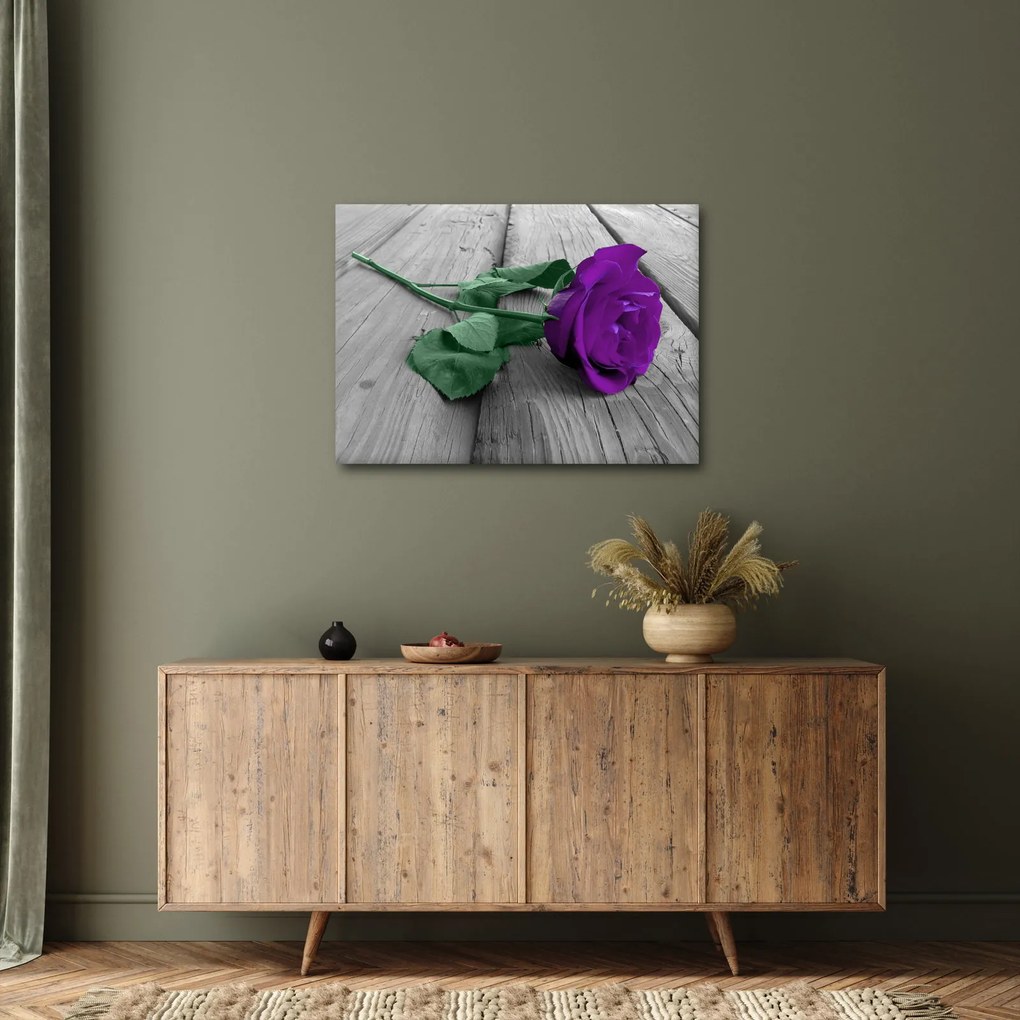 Tablou - Trandafir violet cu tulpina verde (70x50 cm)
