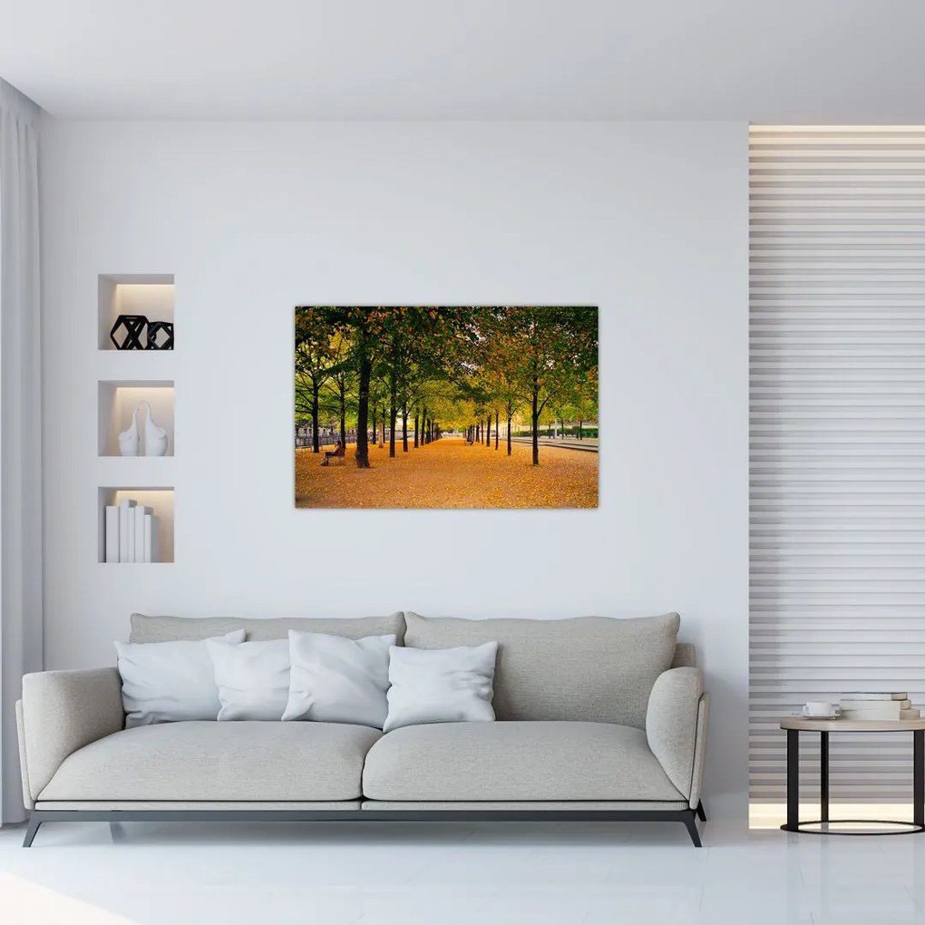 Tablou cu alee cu copaci în toamnă (90x60 cm)
