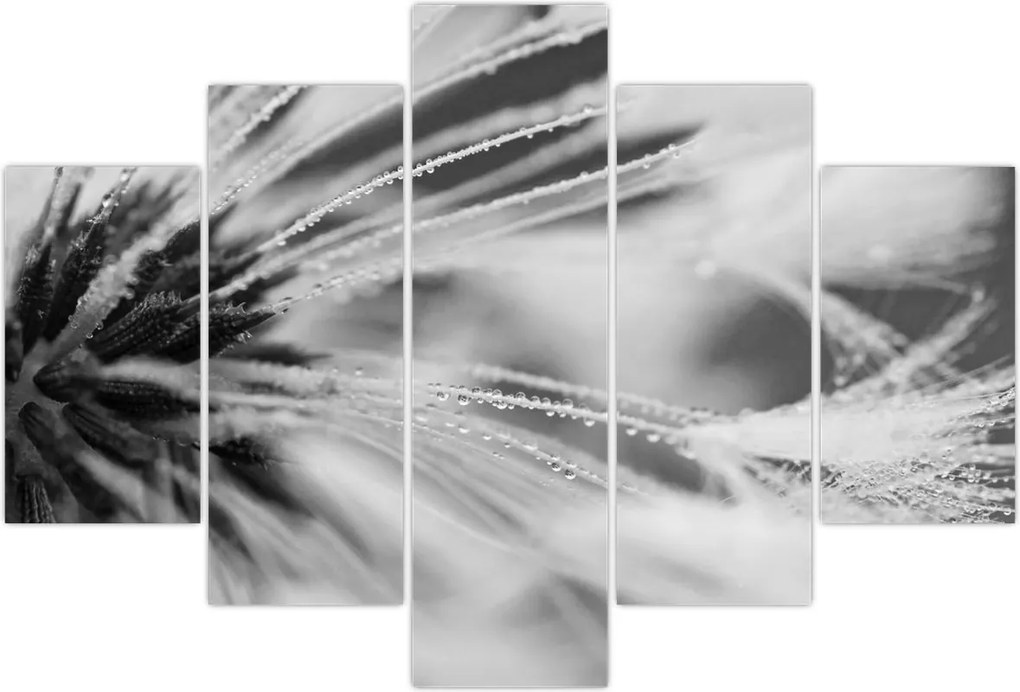 Tablou - Macro,alb-negru (150x105 cm)