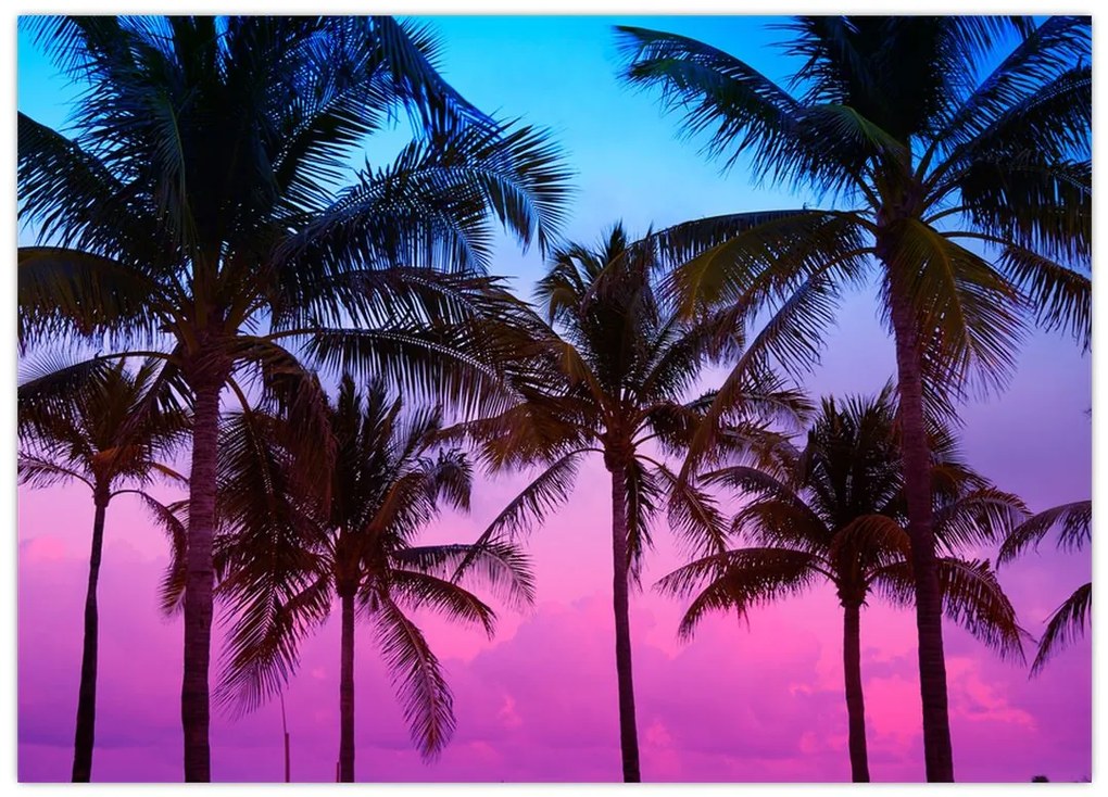 Tablou pe sticlă - Palmieri din Miami (70x50 cm)