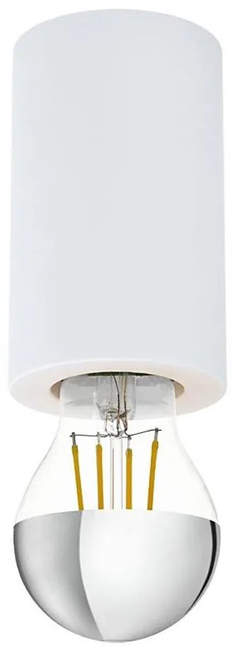 Eglo 99066 - Plafonieră SALUZZO 1xE27/40W/230V